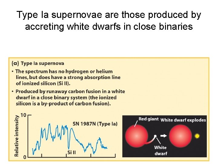 Type Ia supernovae are those produced by accreting white dwarfs in close binaries 