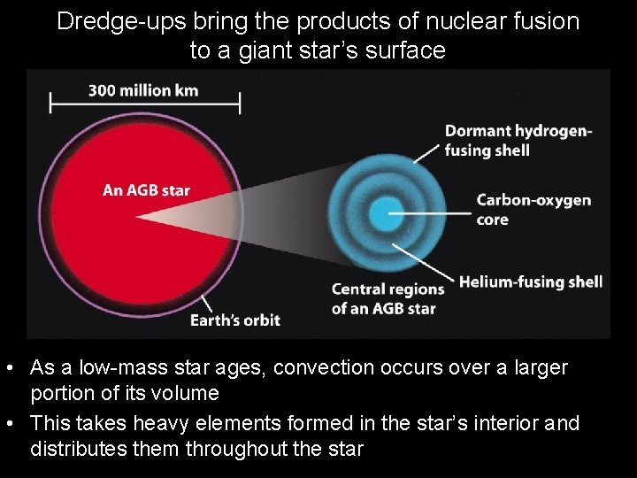 Dredge-ups bring the products of nuclear fusion to a giant star’s surface • As