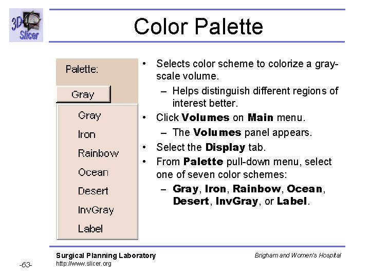Color Palette • Selects color scheme to colorize a grayscale volume. – Helps distinguish Color Palette • Selects color scheme to colorize a grayscale volume. – Helps distinguish