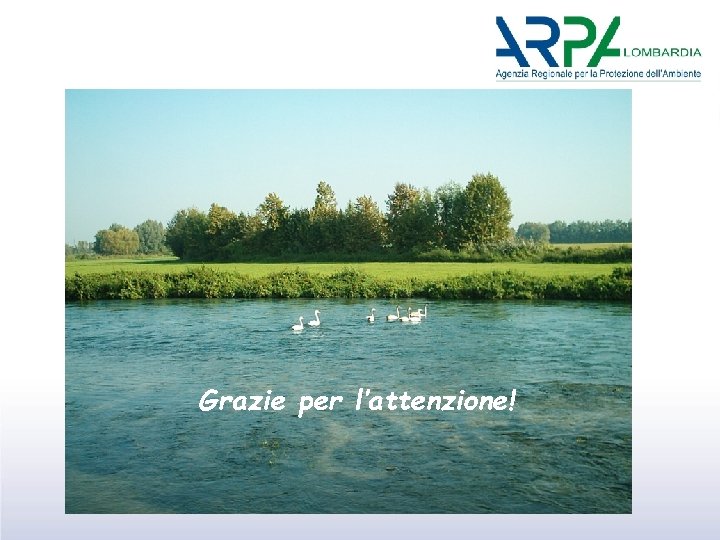 Grazie per l’attenzione! 