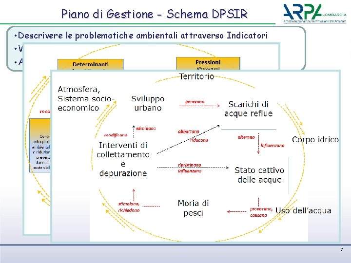 Piano di Gestione - Schema DPSIR • Descrivere le problematiche ambientali attraverso Indicatori •