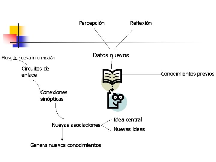 Percepción Fluye la nueva información Reflexión Datos nuevos Circuitos de enlace Conocimientos previos Conexiones