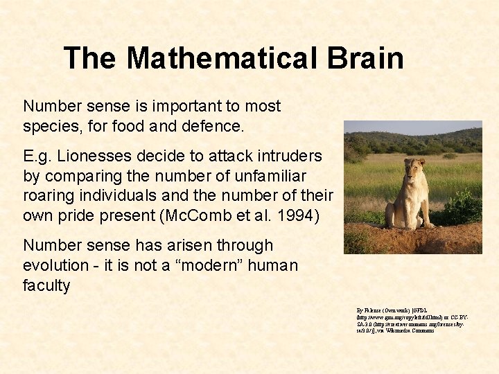 The Mathematical Brain Number sense is important to most species, for food and defence.