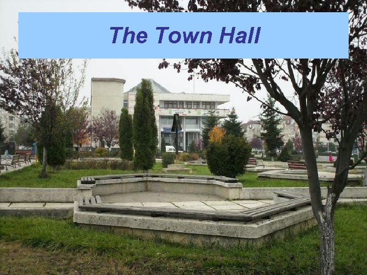 The Town Hall 