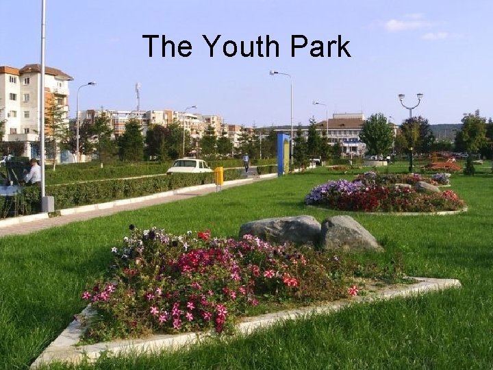 The Youth Park 