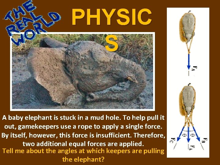 PHYSIC S A baby elephant is stuck in a mud hole. To help pull PHYSIC S A baby elephant is stuck in a mud hole. To help pull