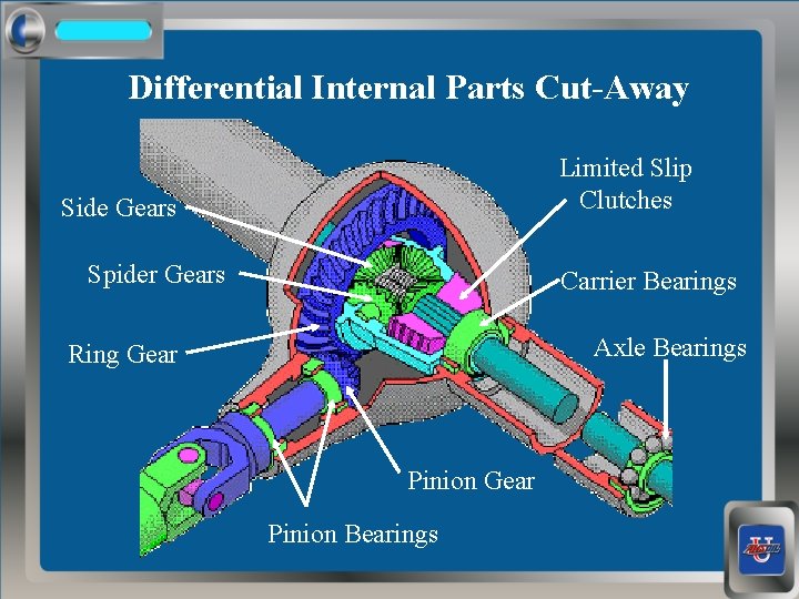 Differential Internal Parts Cut-Away Limited Slip Clutches Side Gears Spider Gears Carrier Bearings Axle