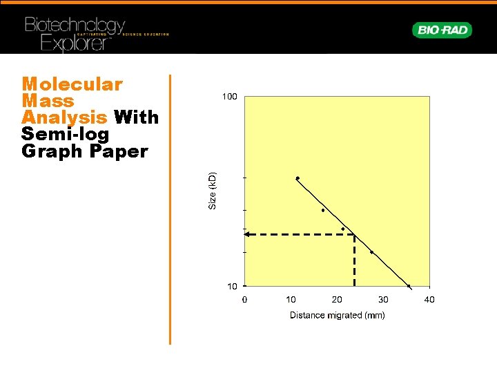 Molecular Mass Analysis With Semi-log Graph Paper 