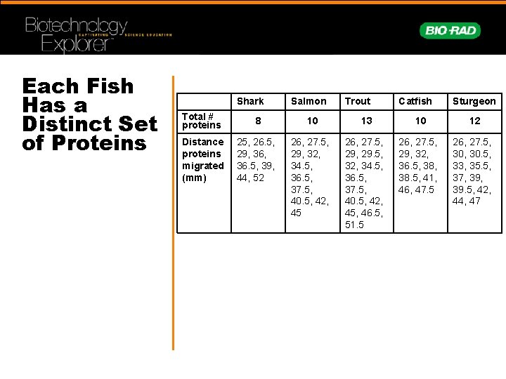 Each Fish Has a Distinct Set of Proteins Shark Salmon Trout Catfish Sturgeon Total