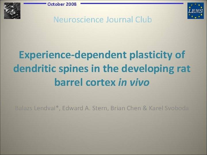 October 2008 Neuroscience Journal Club Experience-dependent plasticity of dendritic spines in the developing rat