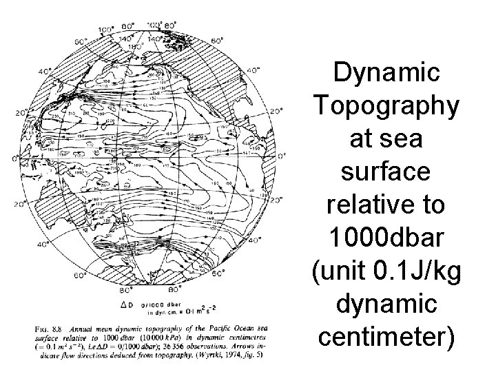 Dynamic Topography at sea surface relative to 1000 dbar (unit 0. 1 J/kg dynamic Dynamic Topography at sea surface relative to 1000 dbar (unit 0. 1 J/kg dynamic