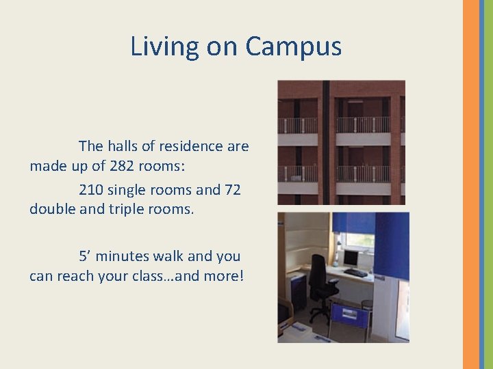 Living on Campus The halls of residence are made up of 282 rooms: 210