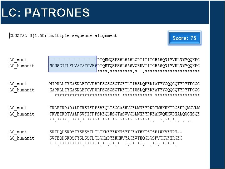 LC: PATRONES Score: 75 