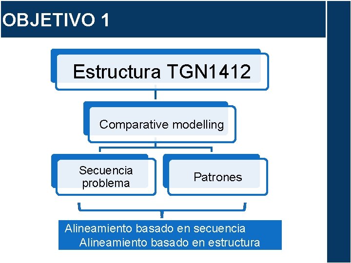 OBJETIVO 1 Estructura TGN 1412 Comparative modelling Secuencia problema Patrones Alineamiento basado en secuencia