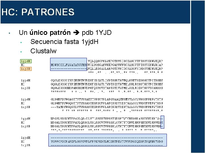 HC: PATRONES • Un único patrón pdb 1 YJD • Secuencia fasta 1 yjd.