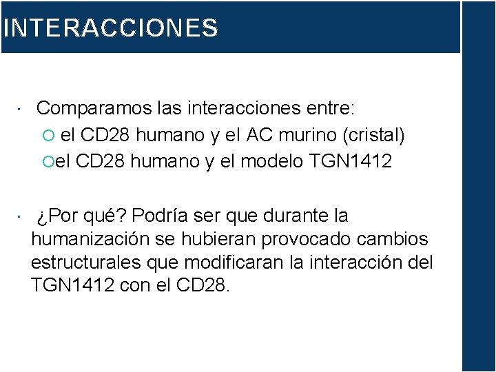 INTERACCIONES Comparamos las interacciones entre: el CD 28 humano y el AC murino (cristal)