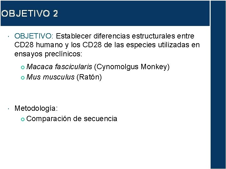 OBJETIVO 2 OBJETIVO: Establecer diferencias estructurales entre CD 28 humano y los CD 28