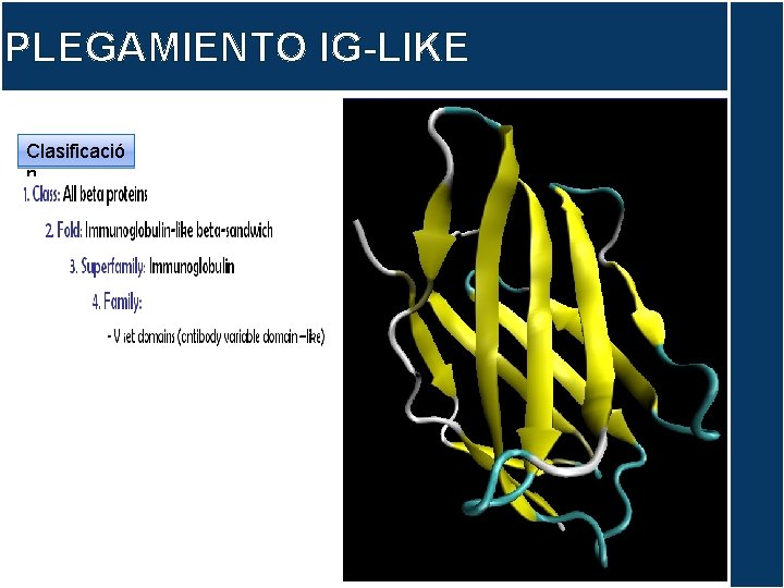 PLEGAMIENTO IG-LIKE Clasificació n 