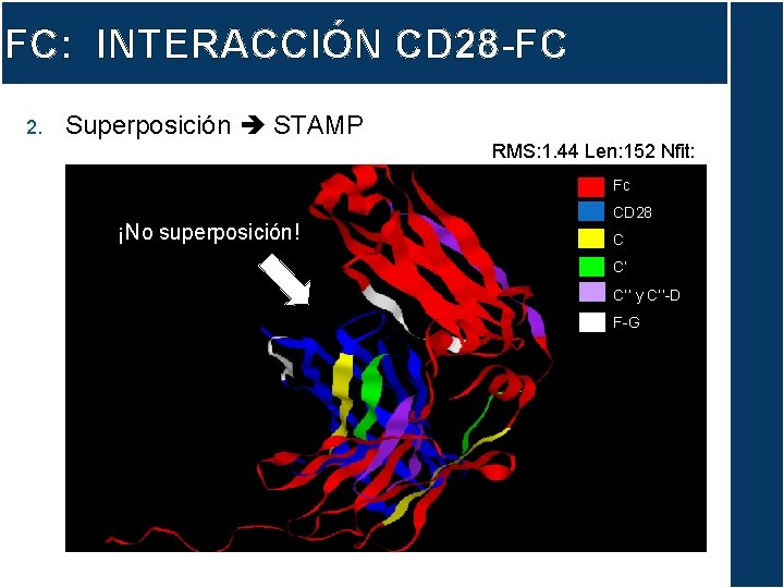 FC: INTERACCIÓN CD 28 -FC 2. Superposición STAMP RMS: 1. 44 Len: 152 Nfit: