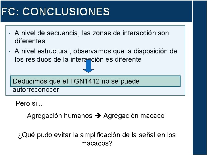 FC: CONCLUSIONES A nivel de secuencia, las zonas de interacción son diferentes A nivel