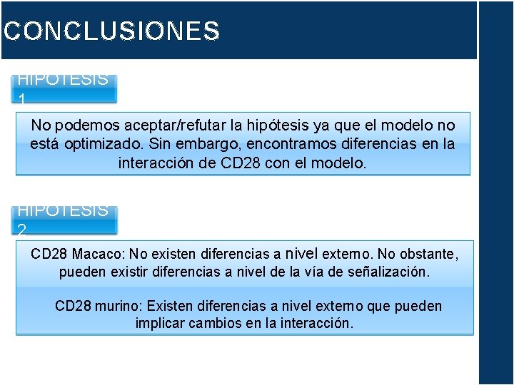 CONCLUSIONES HIPÓTESIS 1 No podemos aceptar/refutar la hipótesis ya que el modelo no está