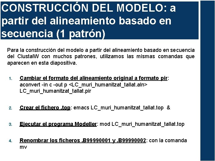 CONSTRUCCIÓN DEL MODELO: a partir del alineamiento basado en secuencia (1 patrón) Para la