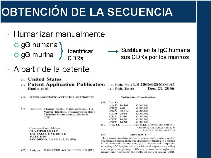 OBTENCIÓN DE LA SECUENCIA Humanizar manualmente Ig. G humana Ig. G murina Identificar CDRs