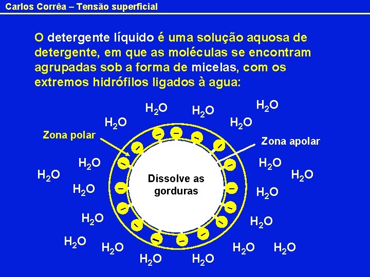 Carlos Corrêa – Tensão superficial O detergente líquido é uma solução aquosa de detergente,