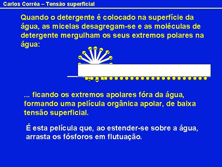 Carlos Corrêa – Tensão superficial Quando o detergente é colocado na superfície da água,