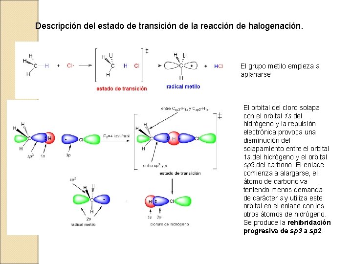 Descripción del estado de transición de la reacción de halogenación. El grupo metilo empieza