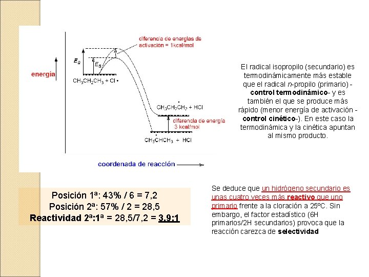 El radical isopropilo (secundario) es termodinámicamente más estable que el radical n-propilo (primario) control