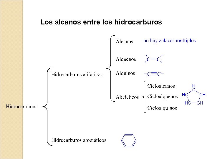 Los alcanos entre los hidrocarburos 