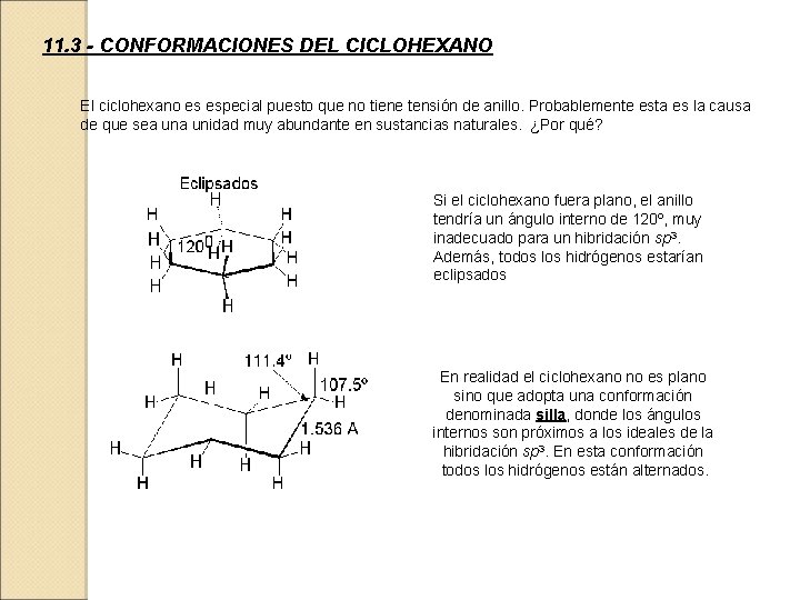 11. 3 - CONFORMACIONES DEL CICLOHEXANO El ciclohexano es especial puesto que no tiene