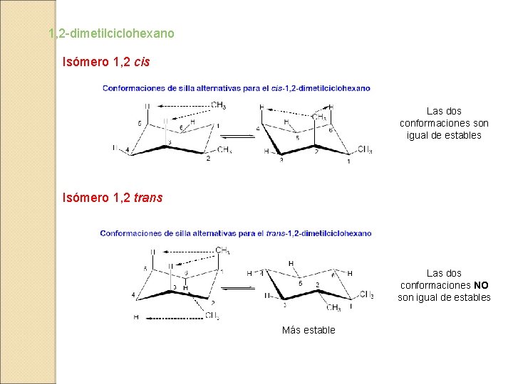 1, 2 -dimetilciclohexano Isómero 1, 2 cis Las dos conformaciones son igual de estables