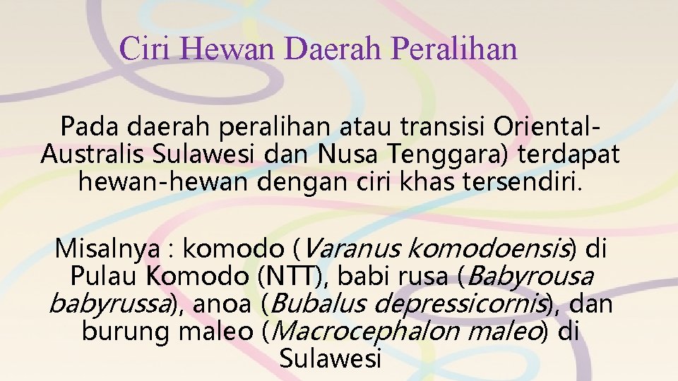 Ciri Hewan Daerah Peralihan Pada daerah peralihan atau transisi Oriental. Australis Sulawesi dan Nusa