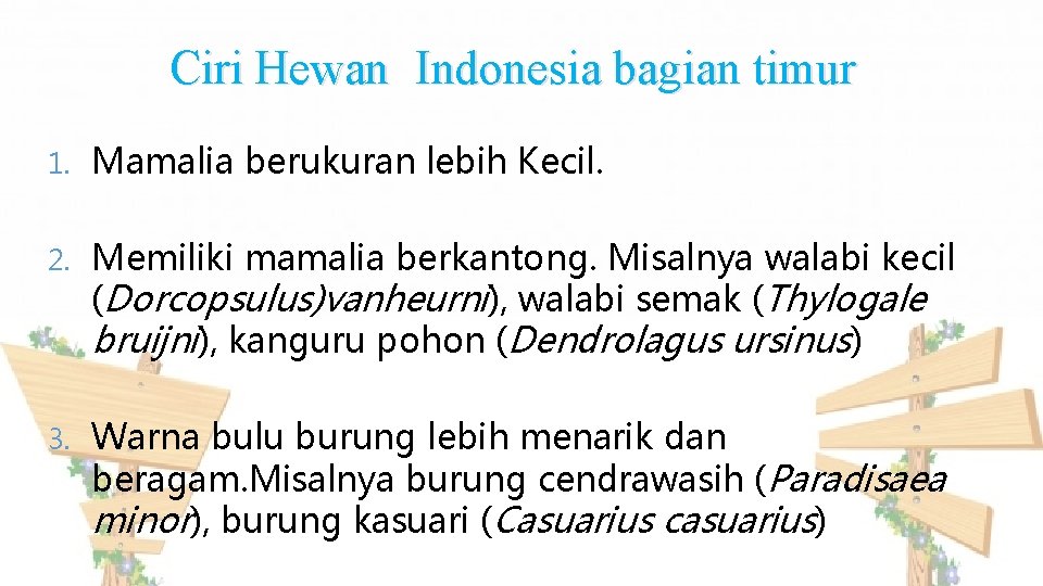 Ciri Hewan Indonesia bagian timur 1. Mamalia berukuran lebih Kecil. 2. Memiliki mamalia berkantong.