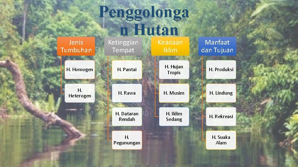 Jenis Tumbuhan Penggolonga n Hutan Ketinggian Tempat Keadaan Iklim Manfaat dan Tujuan H. Homogen