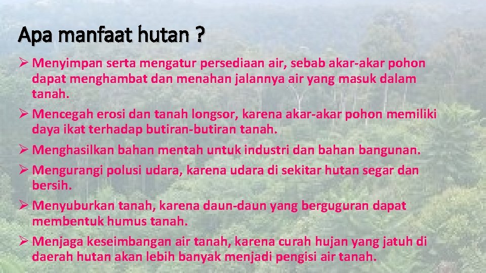 Apa manfaat hutan ? Ø Menyimpan serta mengatur persediaan air, sebab akar-akar pohon dapat