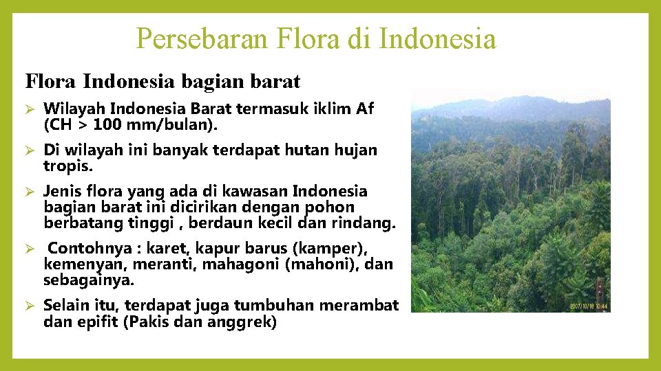 Persebaran Flora di Indonesia Flora Indonesia bagian barat Ø Wilayah Indonesia Barat termasuk iklim