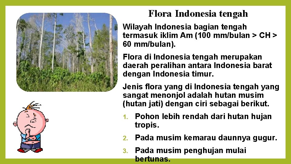 Flora Indonesia tengah Wilayah Indonesia bagian tengah termasuk iklim Am (100 mm/bulan > CH