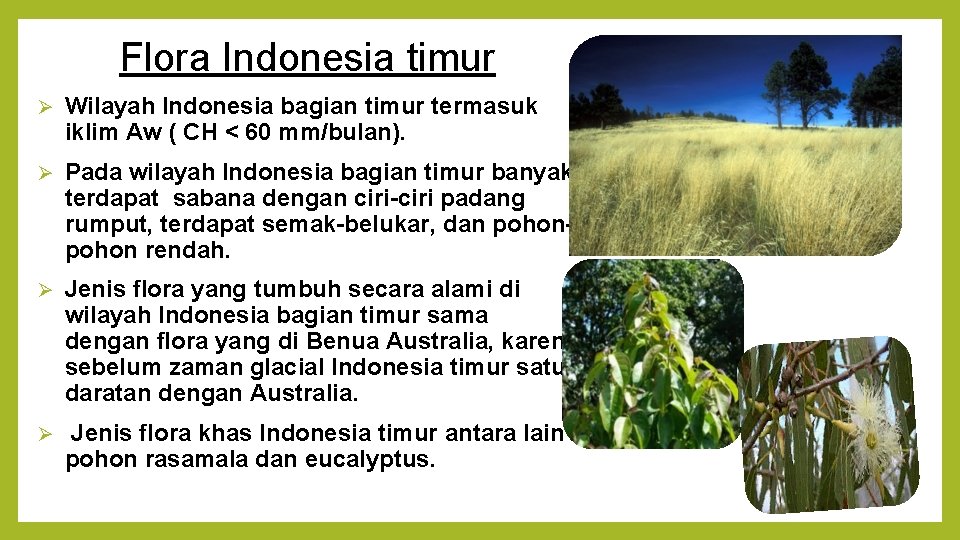 Flora Indonesia timur Ø Wilayah Indonesia bagian timur termasuk iklim Aw ( CH <