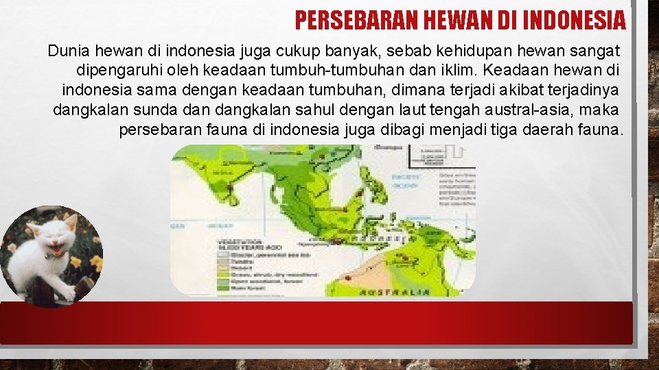 PERSEBARAN HEWAN DI INDONESIA Dunia hewan di indonesia juga cukup banyak, sebab kehidupan hewan