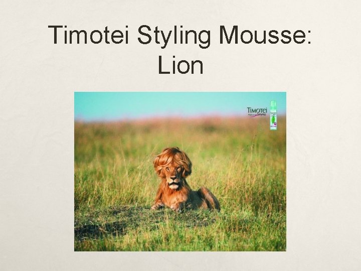 Timotei Styling Mousse: Lion Timotei Styling Mousse: Lion
