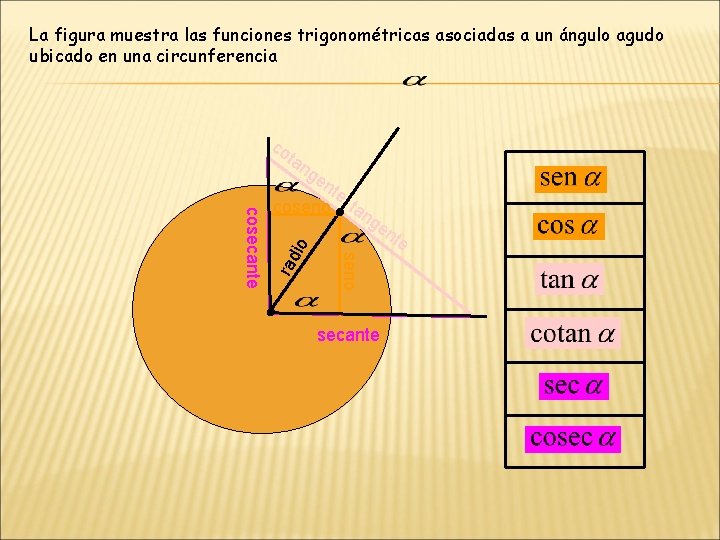La figura muestra las funciones trigonométricas asociadas a un ángulo agudo ubicado en una
