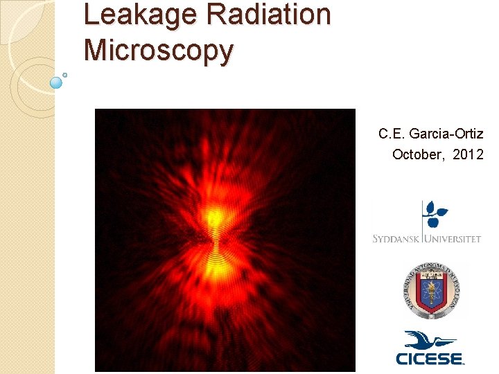 Leakage Radiation Microscopy C. E. Garcia-Ortiz October, 2012 