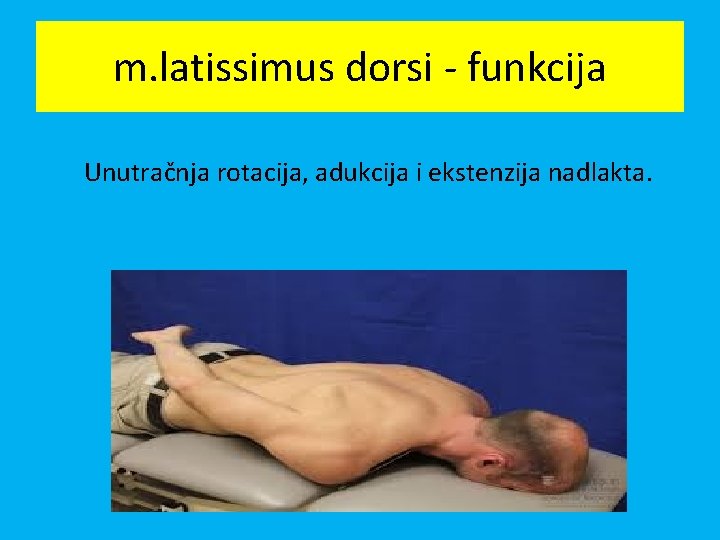 m. latissimus dorsi - funkcija Unutračnja rotacija, adukcija i ekstenzija nadlakta. 