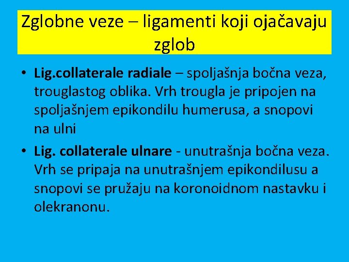 Zglobne veze – ligamenti koji ojačavaju zglob • Lig. collaterale radiale – spoljašnja bočna