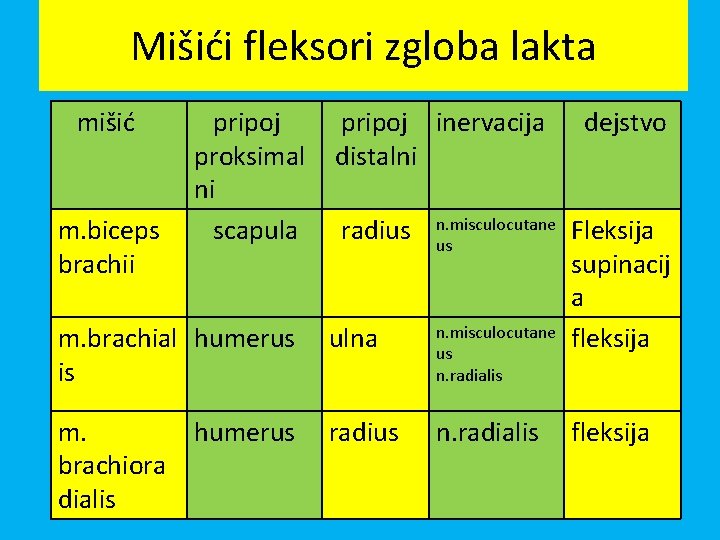 Mišići fleksori zgloba lakta mišić m. biceps brachii pripoj proksimal ni scapula pripoj inervacija