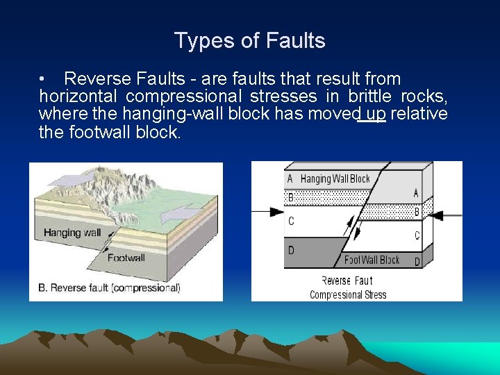 Types of Faults • Reverse Faults - are faults that result from horizontal compressional