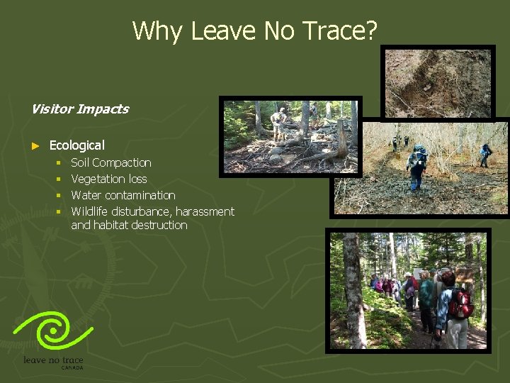 Why Leave No Trace? Visitor Impacts ► Ecological § § Soil Compaction Vegetation loss